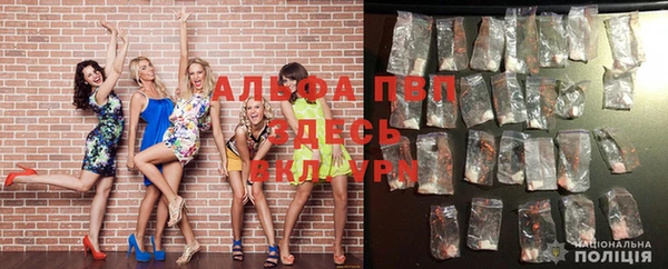 гашик Киренск