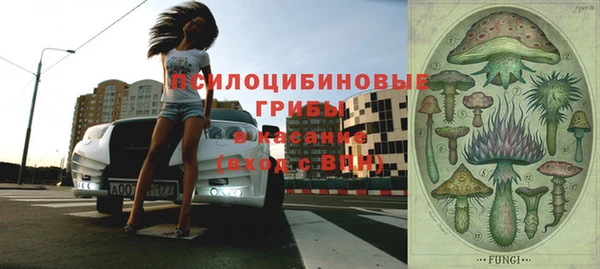 ПСИЛОЦИБИНОВЫЕ ГРИБЫ Киреевск
