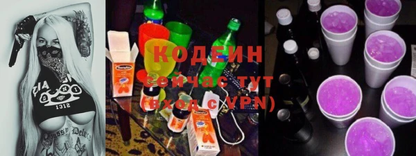 гашик Киренск