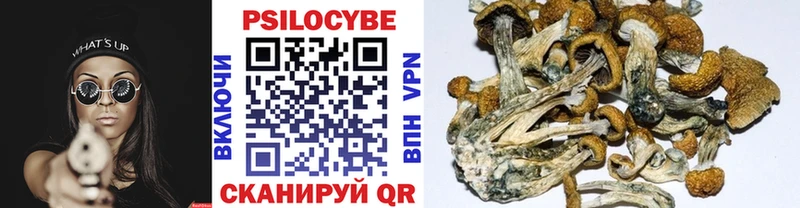 Купить закладки  Майкоп  Галлюциногенные грибы GOLDEN TEACHER 
